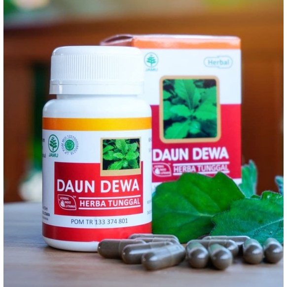 Jual Kapsul Daun Dewa Obat Diabetes Tb Paru Tumor Kanker Herbal Indo