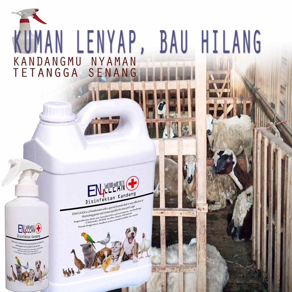 Jual Spray Kandang Sampai Dengan 5L Desinfektan Kandang Kambing Untuk