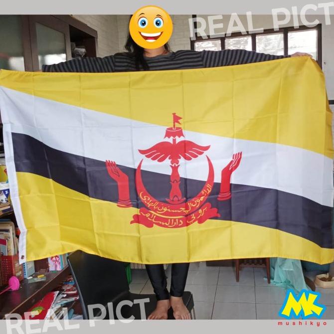 Jual Bendera Negara Asean Filipina Malaysia Singapura Thailand Shopee