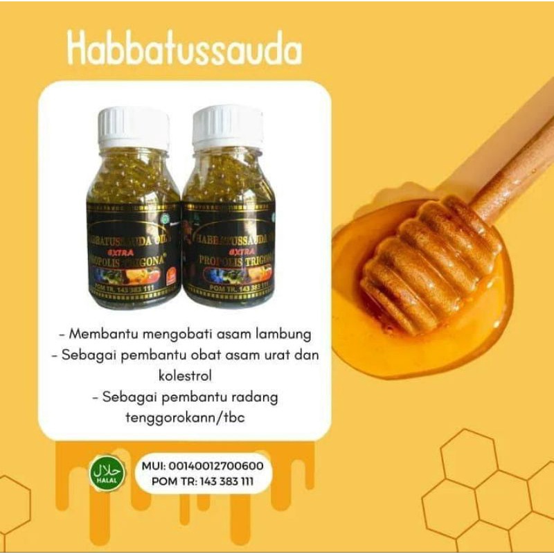 Jual Habbatussauda Plus Propolis Trigona Shopee Indonesia