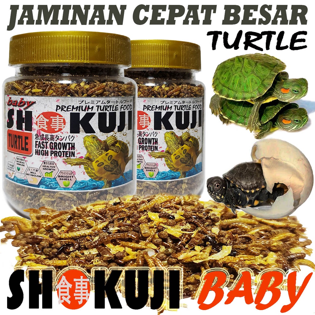 Jual SHOKUJI PAKAN KURA AIR MAKANAN PELET TURTLE BABY FOOD RES BRAZIL