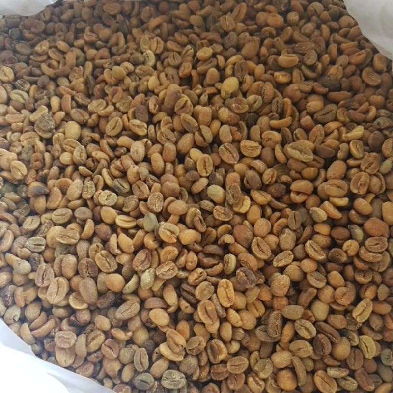 Jual Greeb Bean Arabika Anaerob Proses Grade Biji Kopi Mentah Arabica