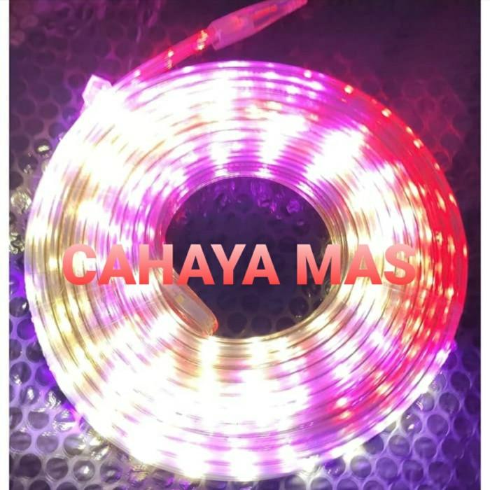 Jual LAMPU LED STRIP SELANG 3528 2835 220V 10M METER OUTDOOR RGB