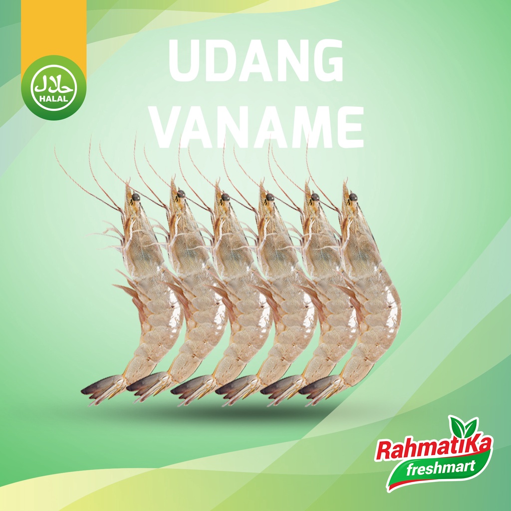 Jual Udang Vaname Segar Gram Udang Panami Size Isi Pcs