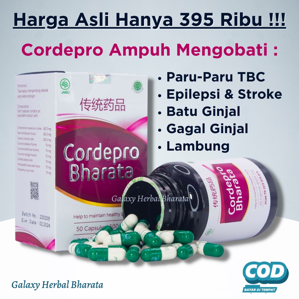 Jual Cordepro Bharata Obat Gagal Ginjal Paru Paru Ginjal Tbc Asma Batuk