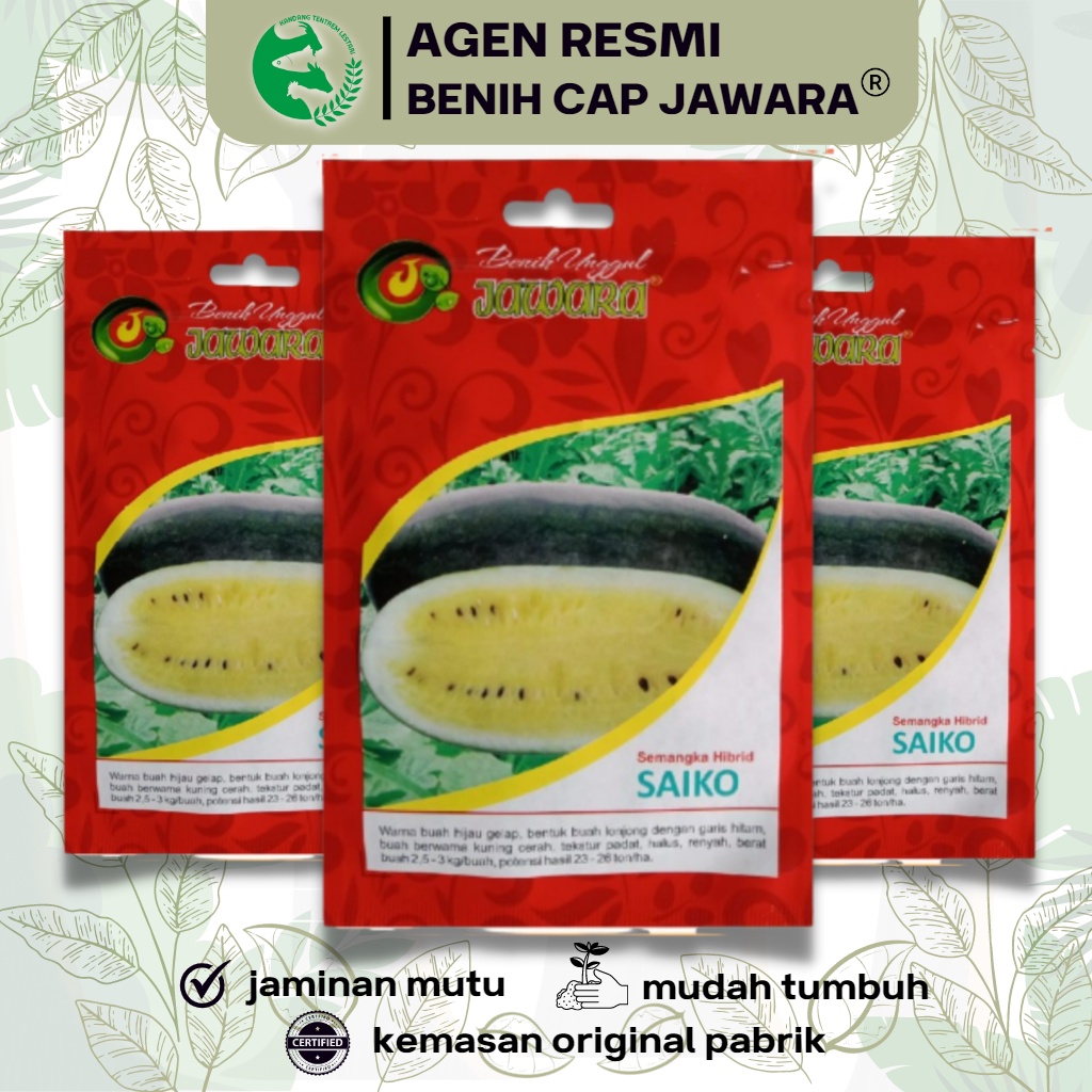 Jual 5 Gr Benih Semangka Inul Saiko F1 Kuning Hibrid Asli Cap Jawara