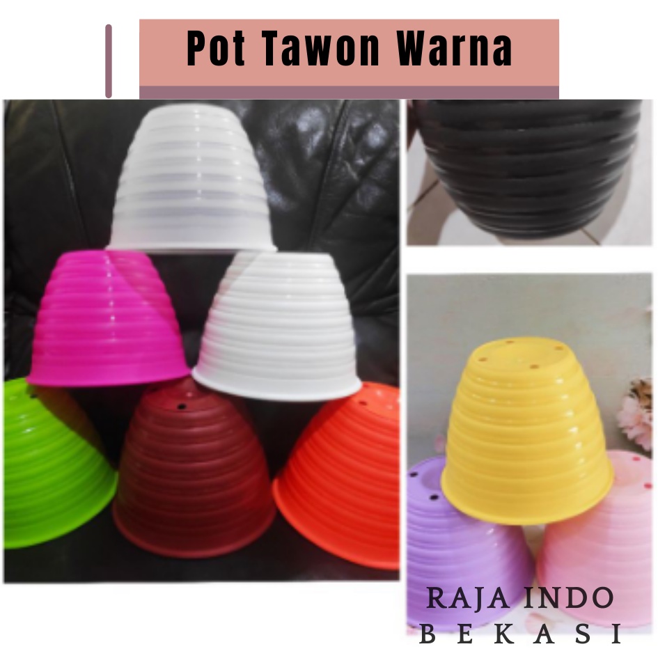 Jual Pot Tawon Banyak Warna Putih Pink Kuning Hijau Biru Orange Hitam