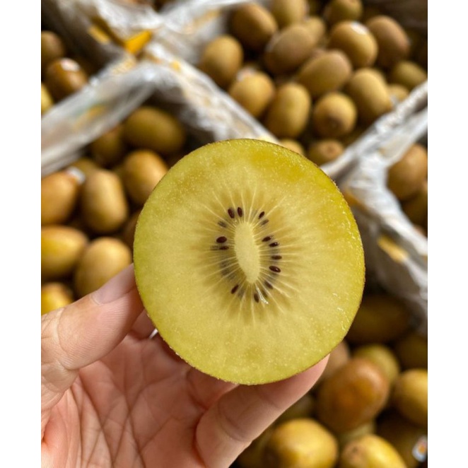 Jual Kiwi Gold Zespri New Zealand Per Dus Shopee Indonesia