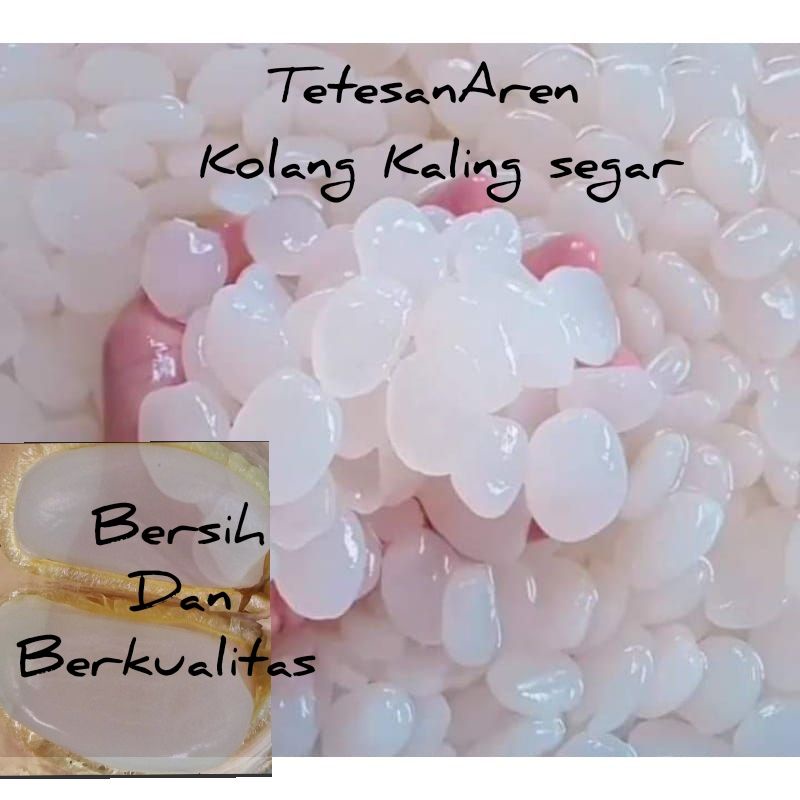 Jual Kolang Kaling Segar 1 Kg Shopee Indonesia