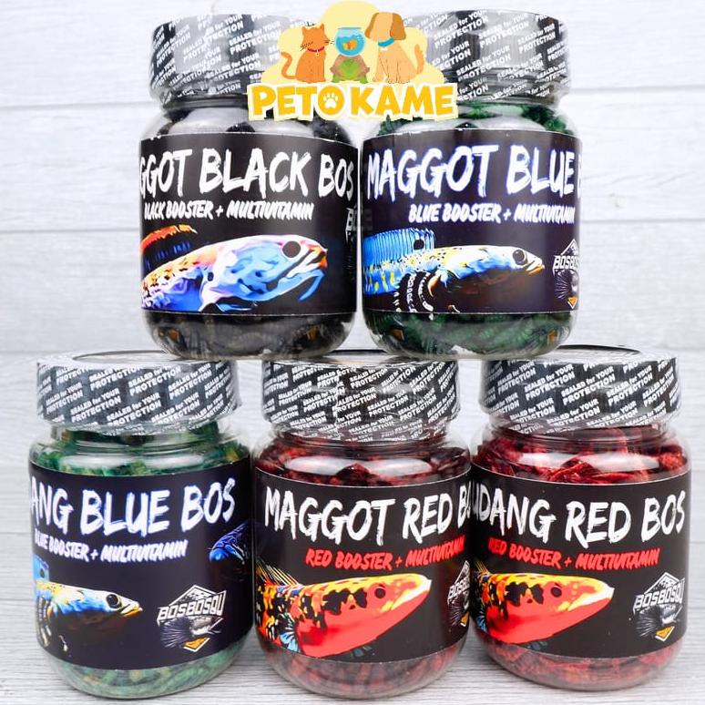 Jual Kekinian Bos Bos Qu PILIH DI VARIAN Maggot Udang Red Blue Black