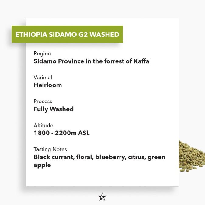 Jual Arabica Green Beans Ethiopia Sidamo Washed 1Kg Shopee Indonesia