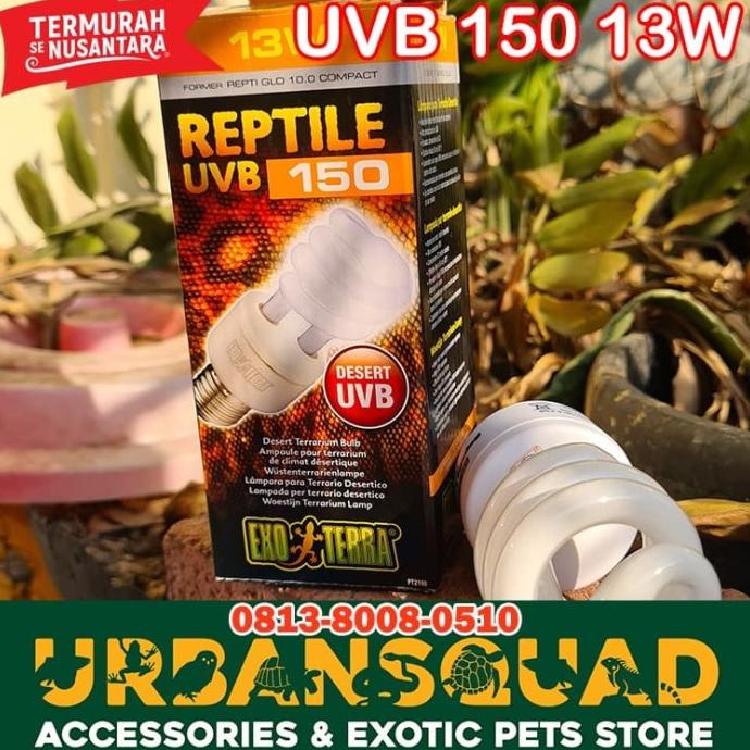 Jual LAMPU EXOTERRA UVB 150 13W REPTILE SULCATA KURA ULAR TERMURAH