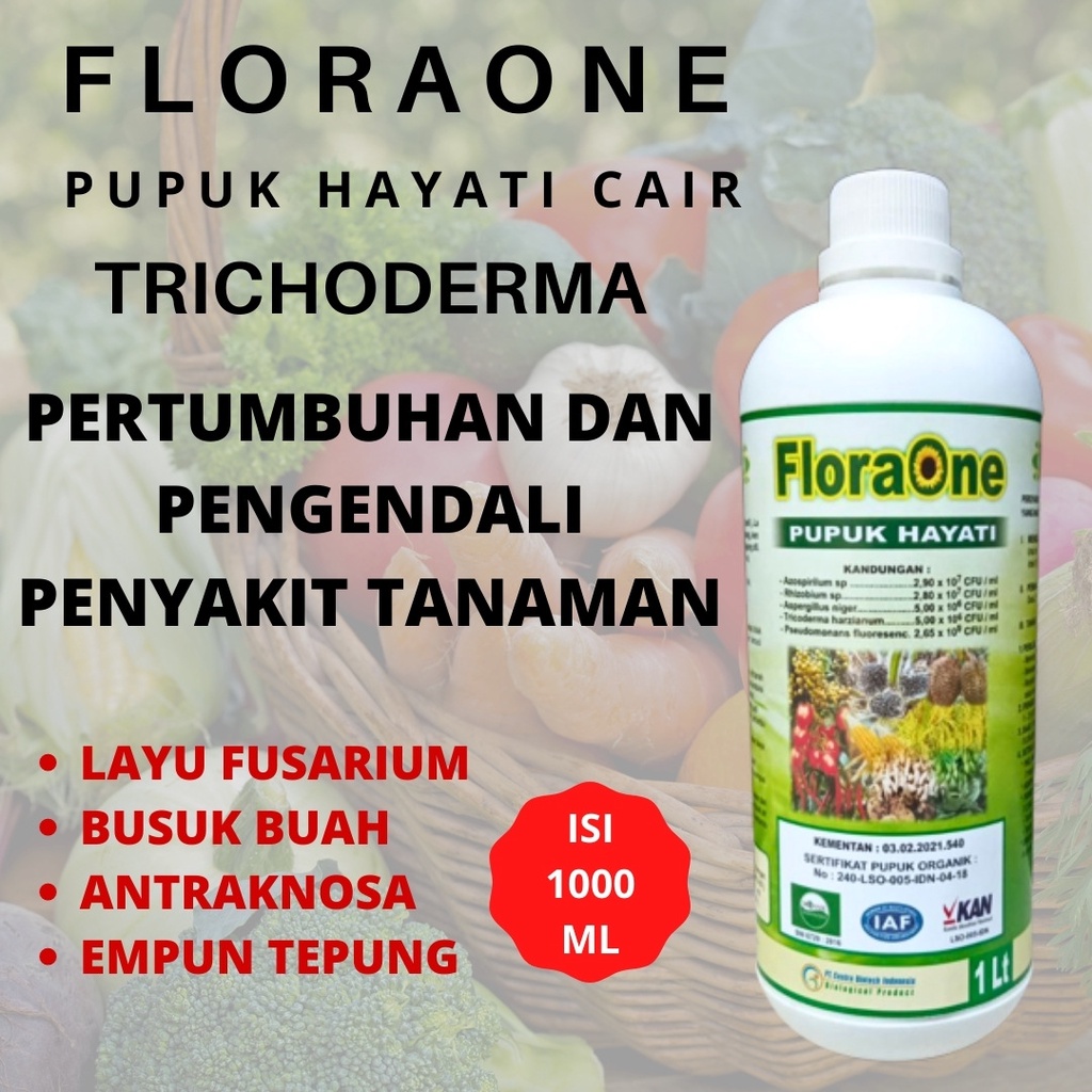 Jual Pupuk Tricoderma Cair Liter Hayati Pupuk Tricoderma Fungisida