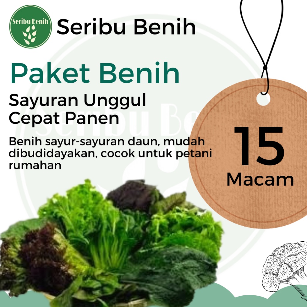 Jual Paket 15 Macam Benih Sayur Hidroponik Sayuran Daun Unggul Bibit