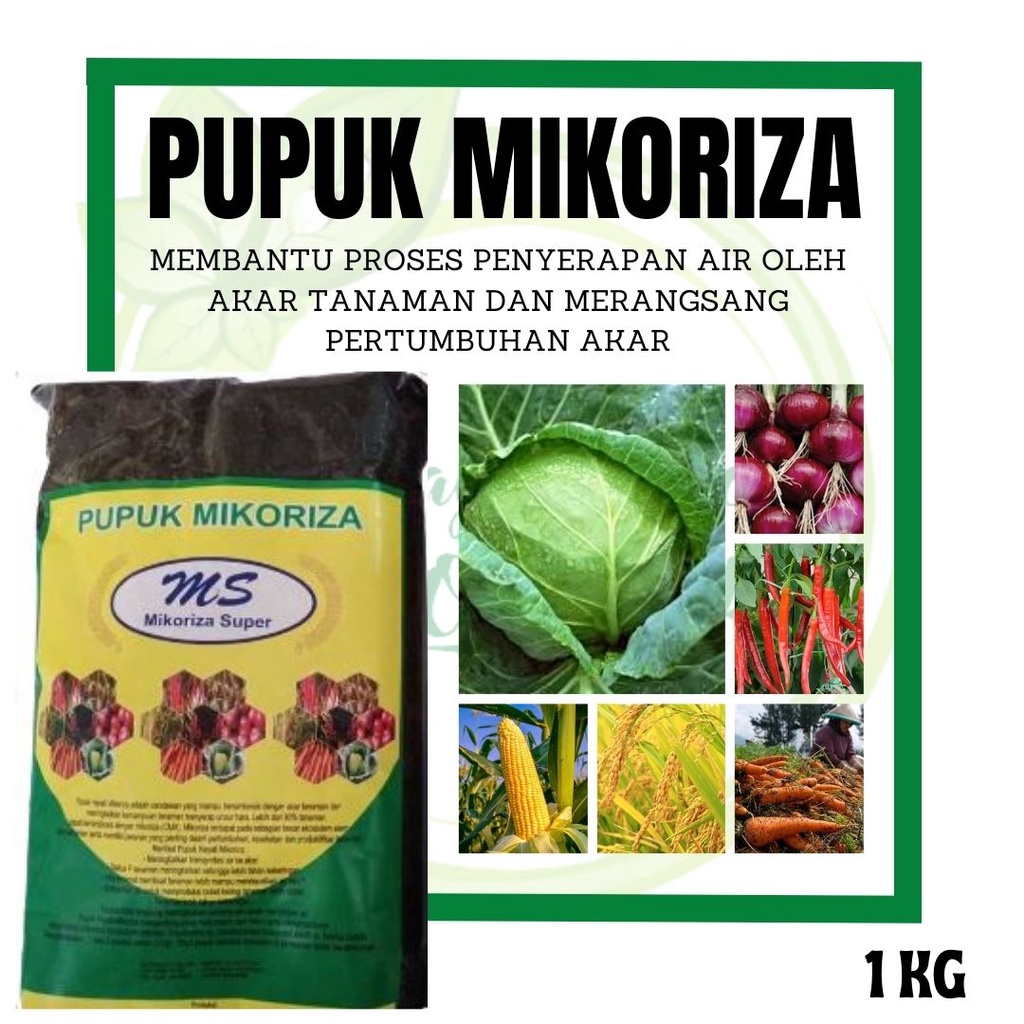 Jual Mikoriza Kemasan 1kg Pupuk Hayati Perangsang Akar Pada Tanaman