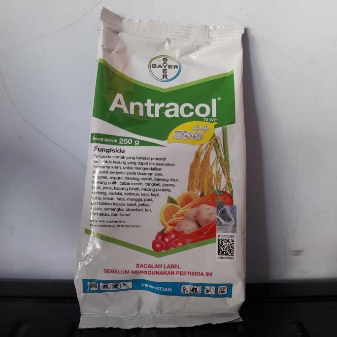 Jual Fungisida Antracol Wp Zinc Gram Shopee Indonesia