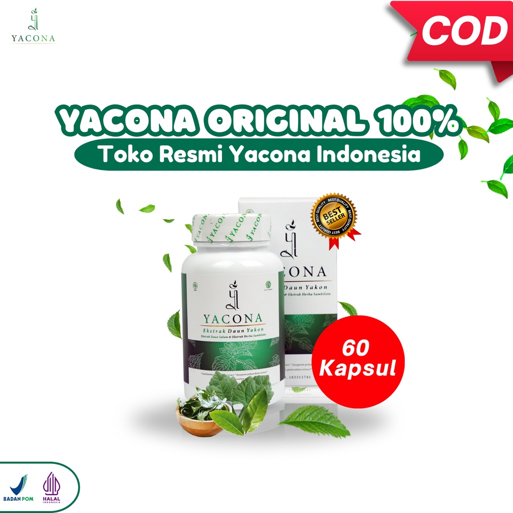 Jual Yacona Mini Obat Gula Darah Tinggi Ampuh Turunkan Gula Darah Anda