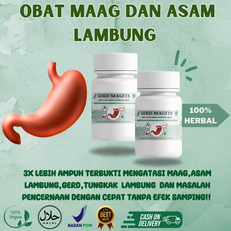 Jual Gerd Magfix Obat Maag Kronis Obat Asam Lambung Atasi Infeksi