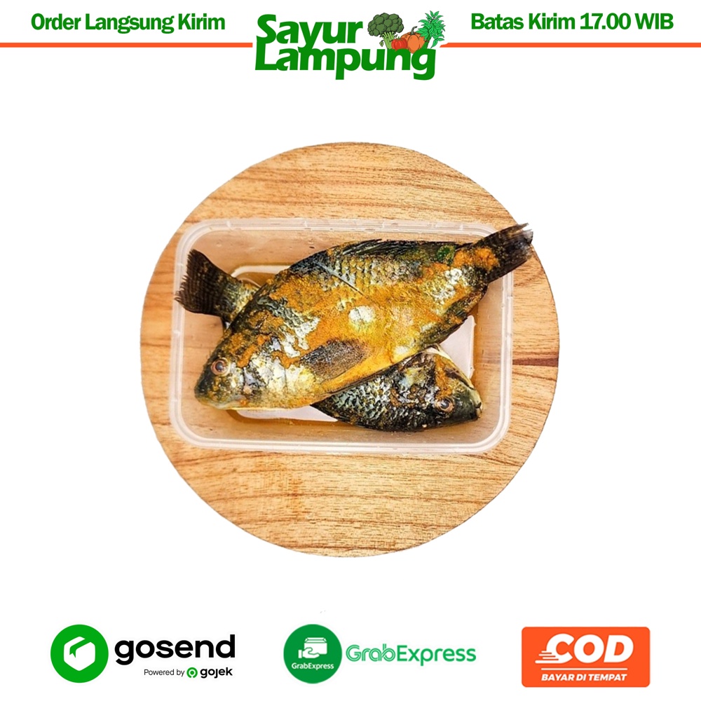 Jual Ikan Nila Bumbu Kuning Gr Sayur Lampung Shopee Indonesia