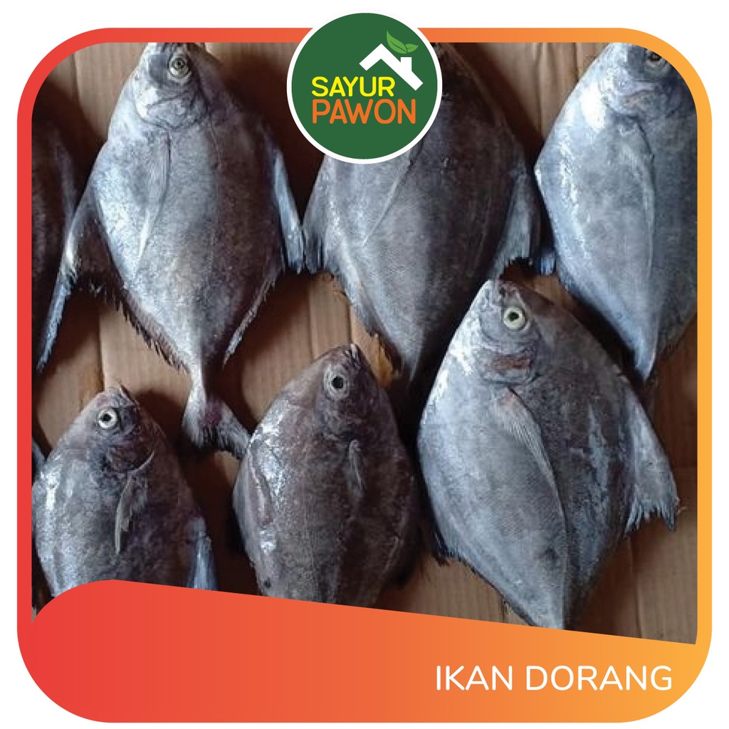 Jual Ikan Dorang Segar Per Gr Sayur Pawon Jogja Shopee Indonesia