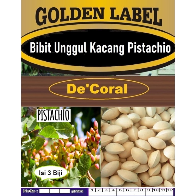 Jual Bibit Unggul Kacang Pistachio Biji Benih Kacang Pistachio