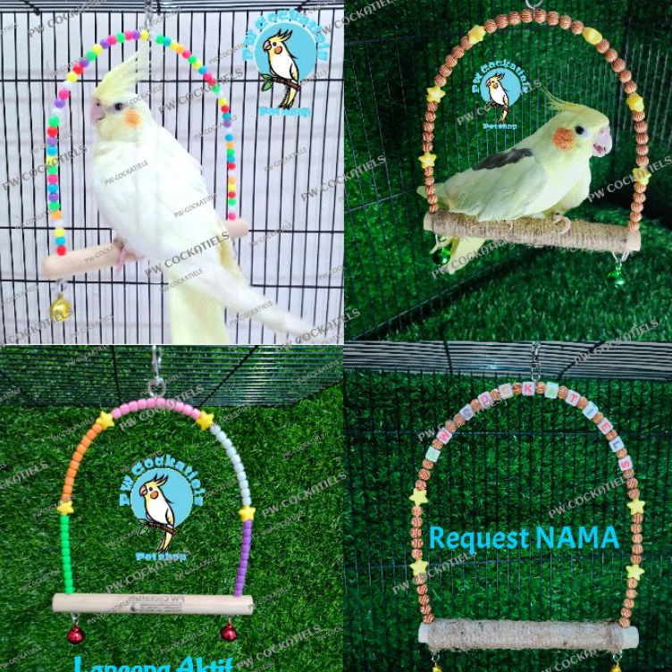 Jual Mainan Ayunan Burung Warna Warni Untuk Lovebird Parkit Falk