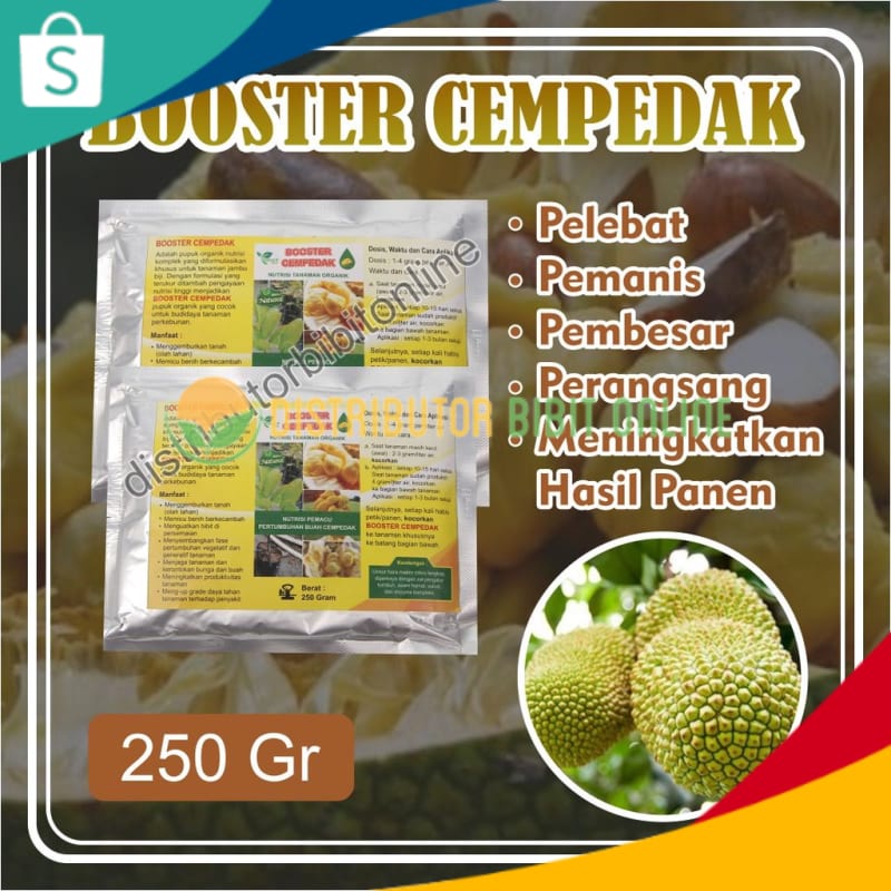 Jual Pupuk Booster Cempedak Pupuk Cempedak Baru Tanam Pupuk Cempedak