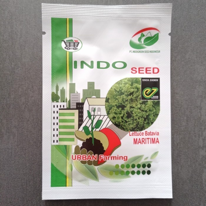 Jual Benih Bibit Selada Maritima Lettuce Batavia Maritima EZ Indo Seed