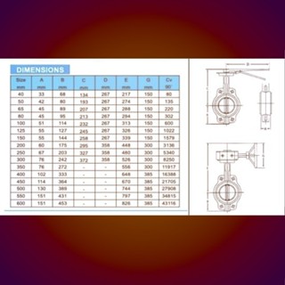 Jual TOZEN BUTTERFLY VALVE JIS 10K 4 INCH BODY CAST IRON LEVER