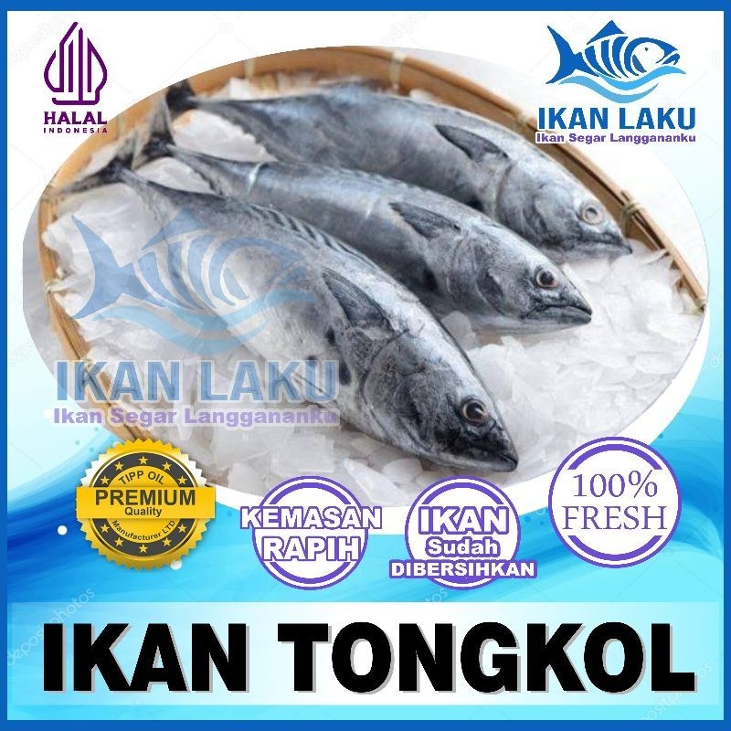 Jual Ikan Tongkol Cakalang Cikarang Tambun Premium Fresh Termurah