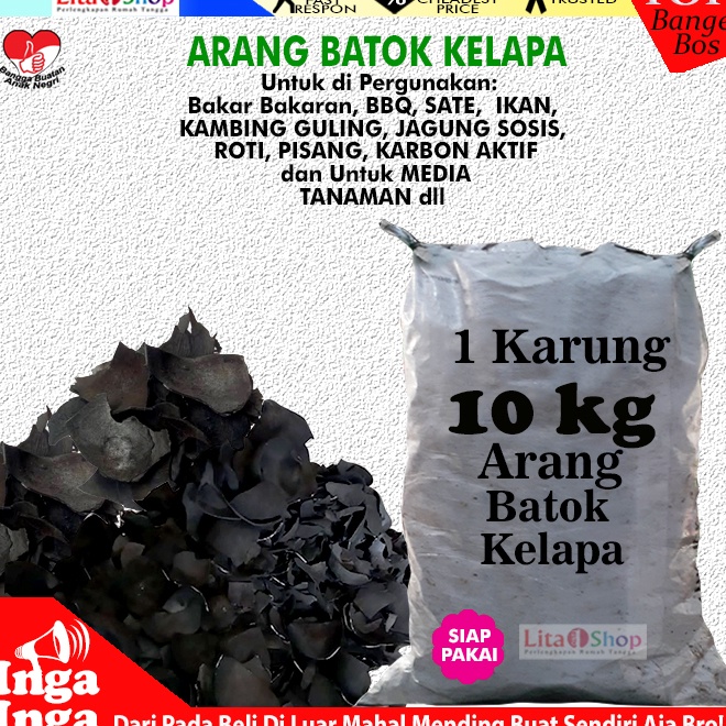 Jual Arang Batok Kelapa Karungan 10kg Khusus Ojol Areng M Produk