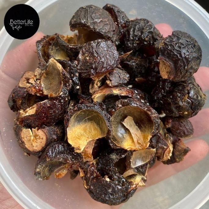 Jual Buah Lerak Tanpa Biji Shopee Indonesia