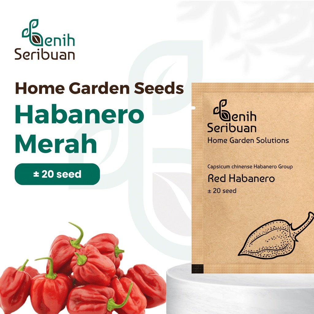 Jual Benih Seribuan Bibit Cabe Red Habanero Cabai Terpedas Heirloom