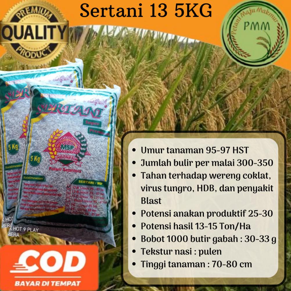 Jual New Benih Padi Unggul Sertani 13A Kemasan 5kg Shopee Indonesia