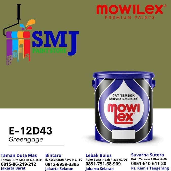 Jual Cat Tembok Interior Mowilex Emulsion Warna Greengage E12D43 1L