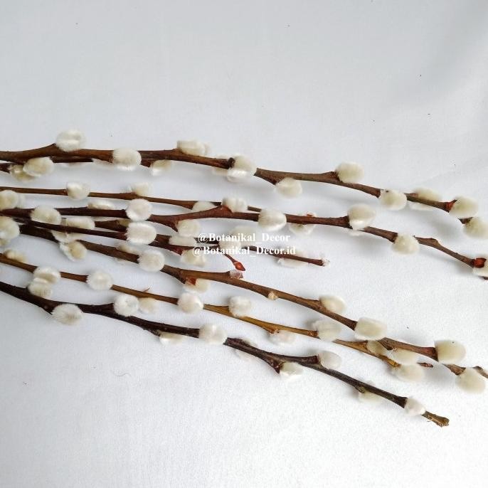 Jual Terjangkau Pcs Dried Pussy Willow Spray Hiasan Ranting Imlek