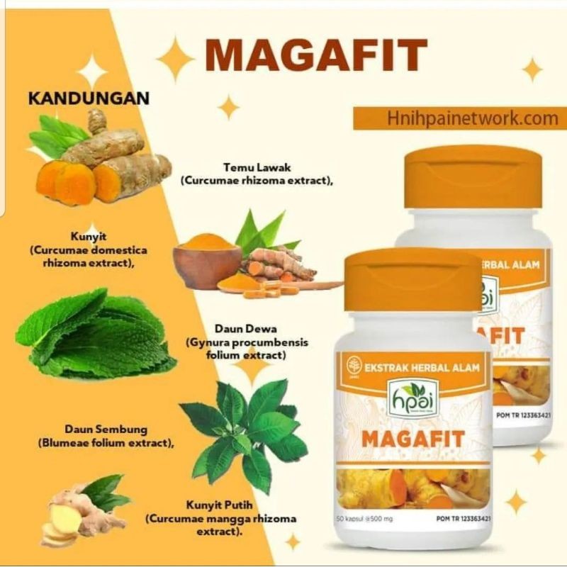 Jual Magafit Hni Hpai Atasi Asam Lambung Dan Maag Kronis Free Kopi