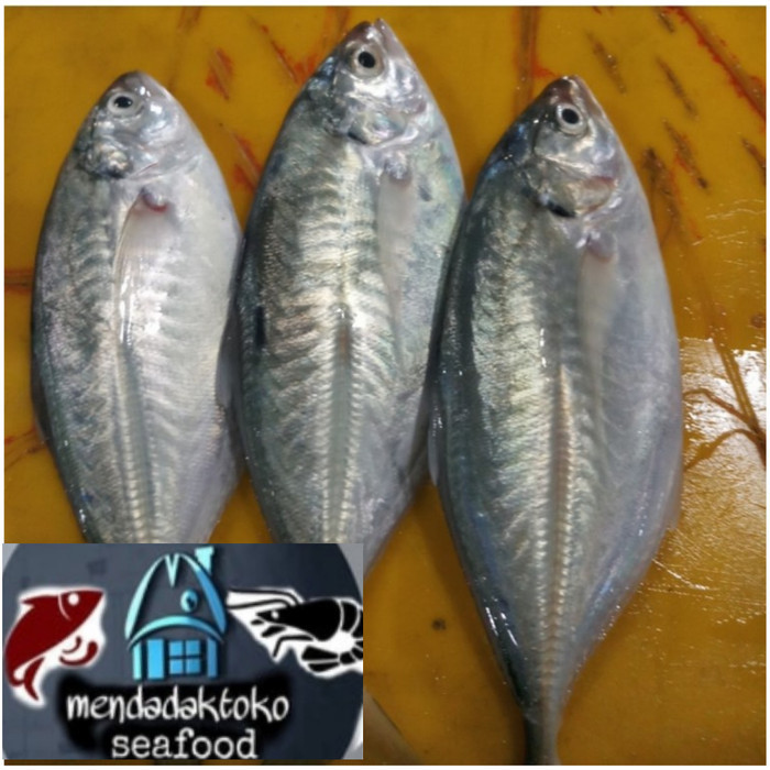 Jual Ayala Ikan Selar Gabret Fresh Seafood Ikan Laut Segar Shopee