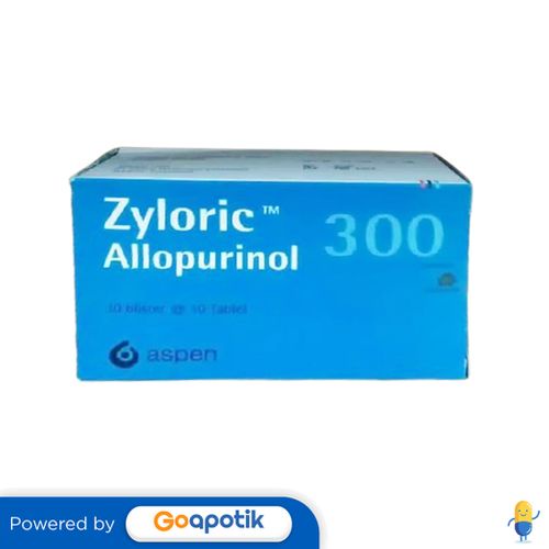 Jual ZYLORIC 300 MG BOX 100 TABLET Shopee Indonesia