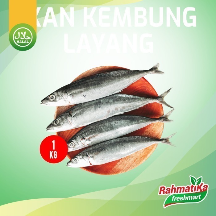 Jual Ikan Kembung Layang Segar 1 Kg Shopee Indonesia