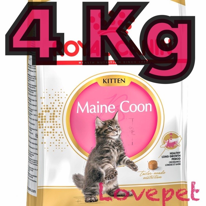 Jual Baru Royal Canin Kitten Maine Coon Kg Rc Kitten Mainecoon Kg