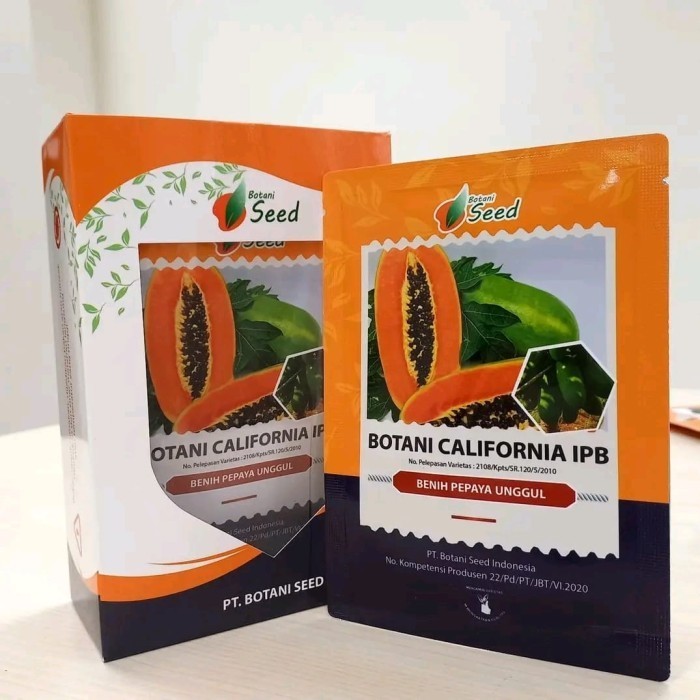 Jual New Benih Pepaya California Calina IPB 9 Isi 300 Biji Botani