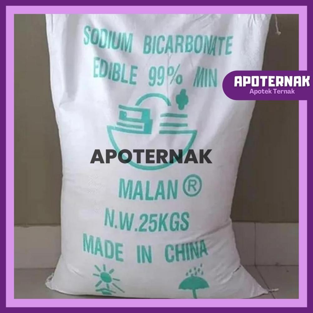 Jual Sale BAKING SODA SODA KUE SODIUM BICARBONATE Food Grade 1kg