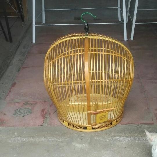 Jual Kandang Burung Tekukur Dan Burung Puter P M Shopee Indonesia