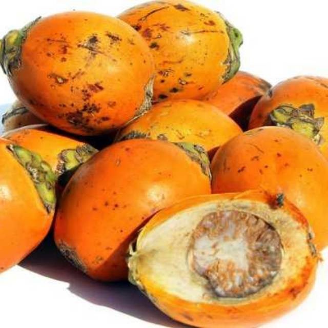 Jual Victory Seed Buah Pinang Tua Herbal Segar Isi Gram Shopee