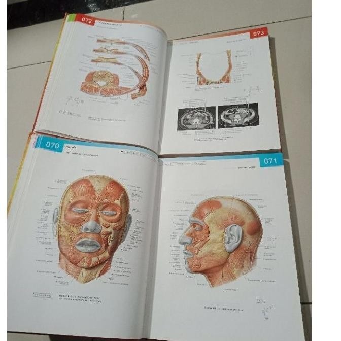 Jual Sobotta Atlas Anatomi Manusia Edisi 24 Sepaket 4 Buku Shopee