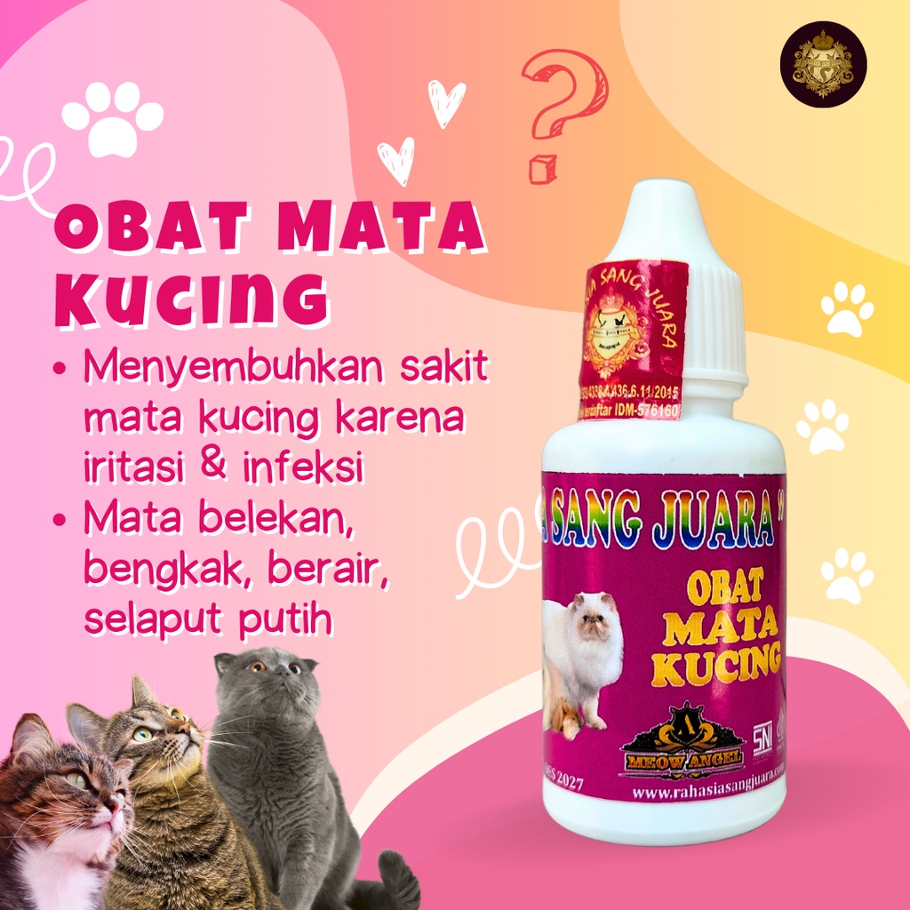 Jual OBAT MATA KUCING BELEKAN BENGKAK BERAIR SELAPUT PUTIH KATARAK