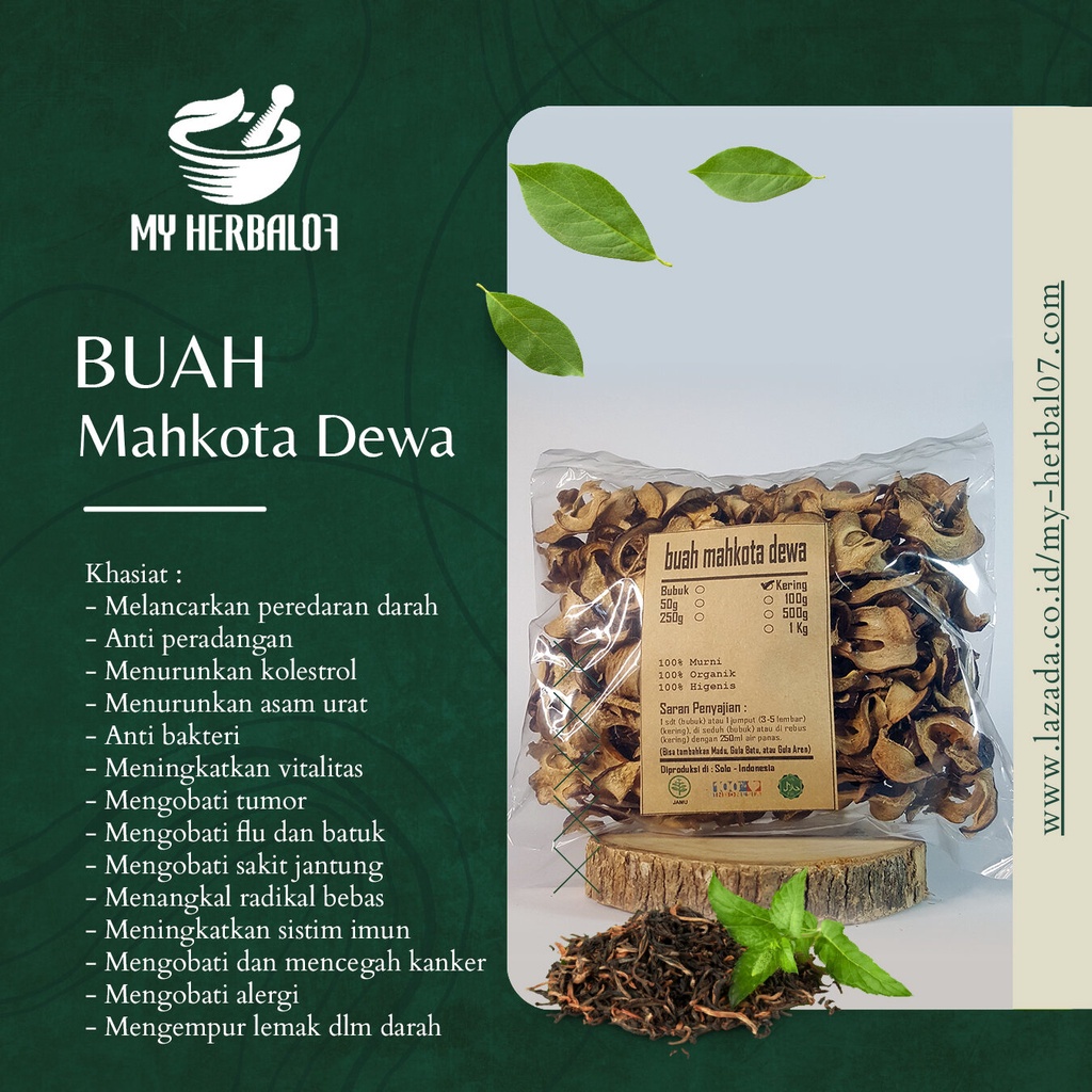 Jual Herbal Kesehatan Buah Mahkota Dewa Kering Phaleria Macrocarpa