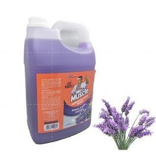 Jual Mr Muscle Pembersih Lantai Axi Triguna Lavender Galon 3 7L 18f