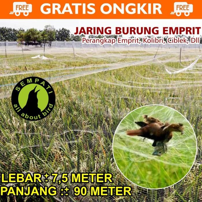 Jual Jaring Burung Jaring Padi Jaring Emprit Jaring Sawah 7 5 X 90